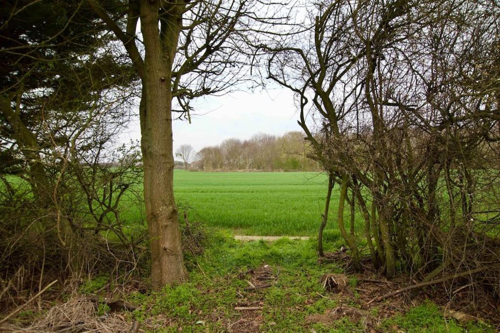 Spacious 5 Bed In The Countryside, Close To Frinton-On-Sea Kirby Cross Exterior photo